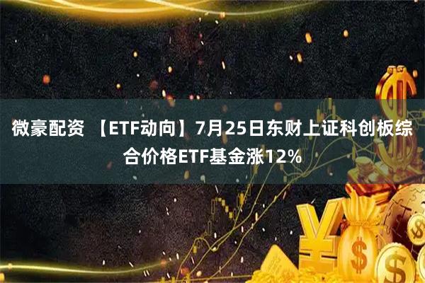 微豪配资 【ETF动向】7月25日东财上证科创板综合价格ETF基金涨12%